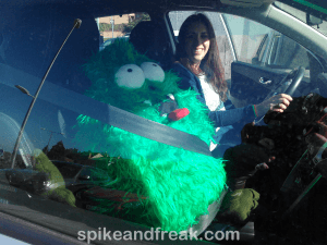 Kapi se va en el coche con su dueña