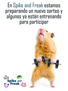 sorteo hamster haciendo pesas
