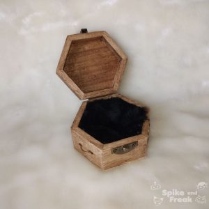 Caja steampunk abierta